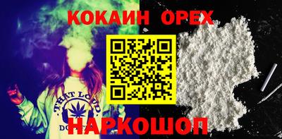 сатива Гатчина