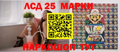 сатива Гатчина