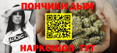 сатива Гатчина