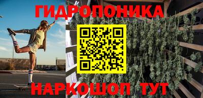 сатива Гатчина