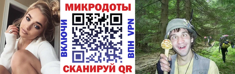Галлюциногенные грибы прущие грибы  Менделеевск 